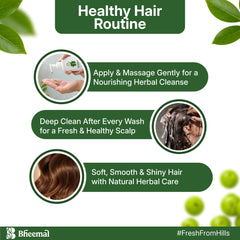 Himalayan Bheemal Shampoo - 500ml Pack of 2| Natural Hair Care