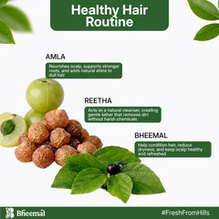 Himalayan Bheemal Shampoo - 500ml | Natural Hair Care