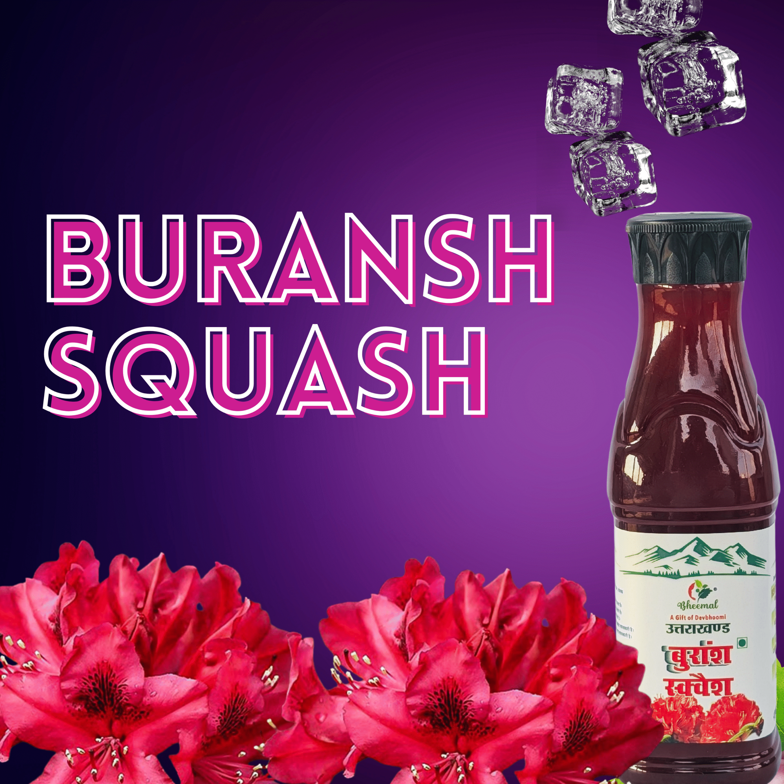 buransh squash